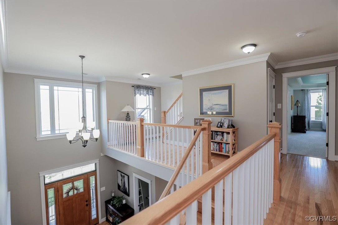 12213 Golden Aster Ter