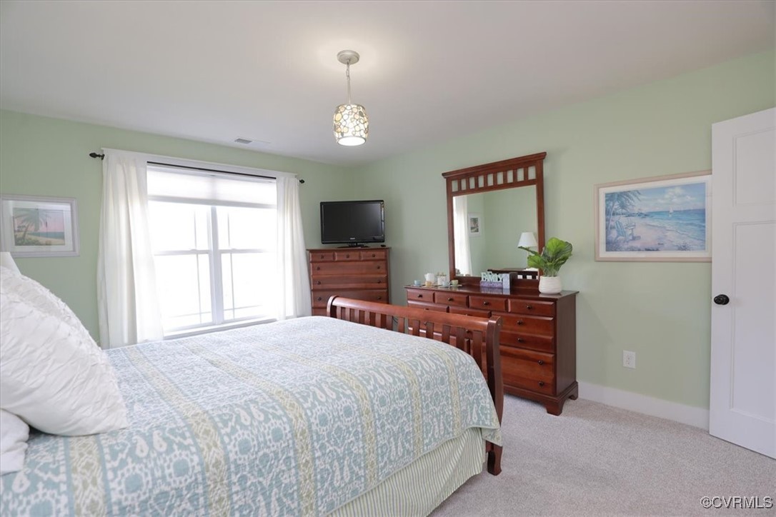 12213 Golden Aster Ter