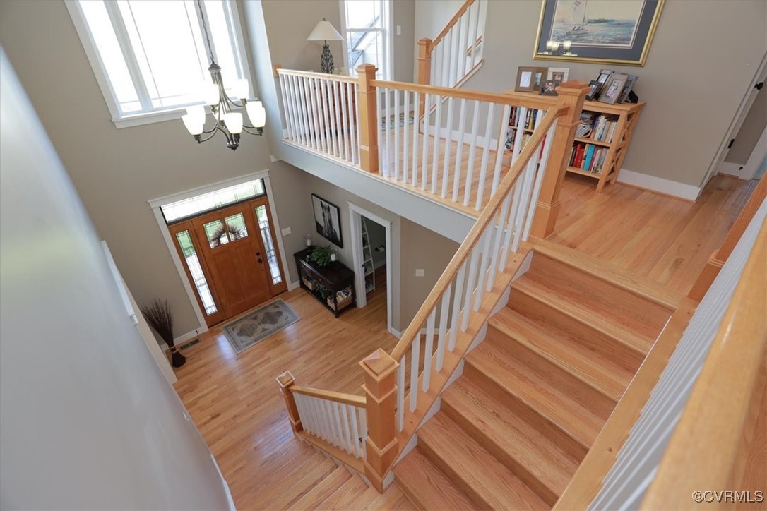 12213 Golden Aster Ter