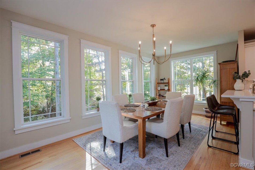 12213 Golden Aster Ter