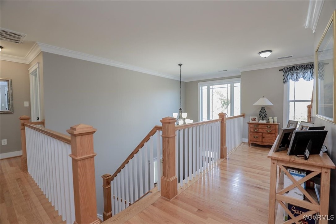 12213 Golden Aster Ter