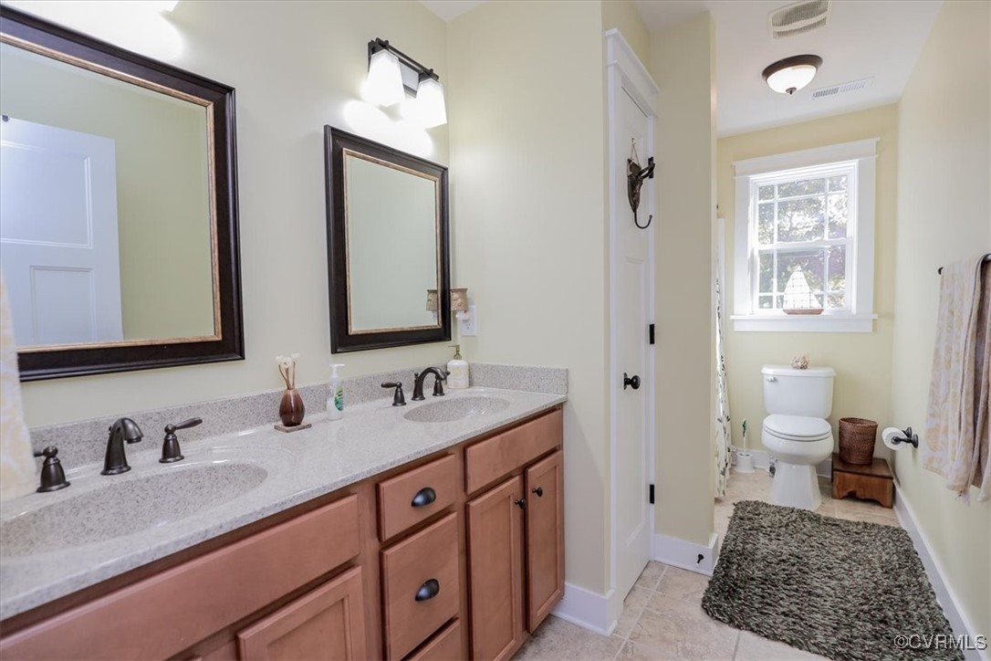 12213 Golden Aster Ter