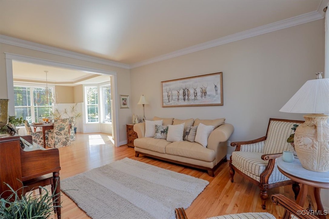 12213 Golden Aster Ter