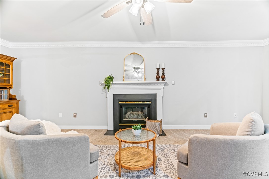 14415 Branched Antler Dr