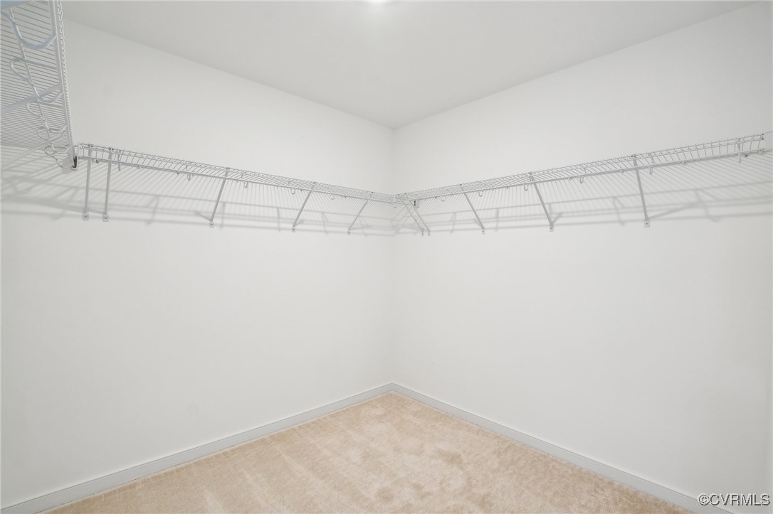 16215 White Oak Tree Ct