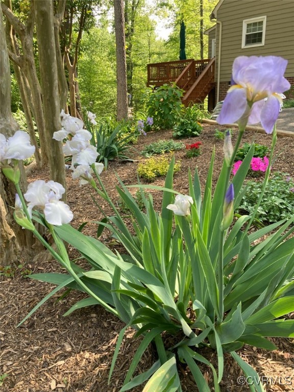 1101 Somerville Grove Ter