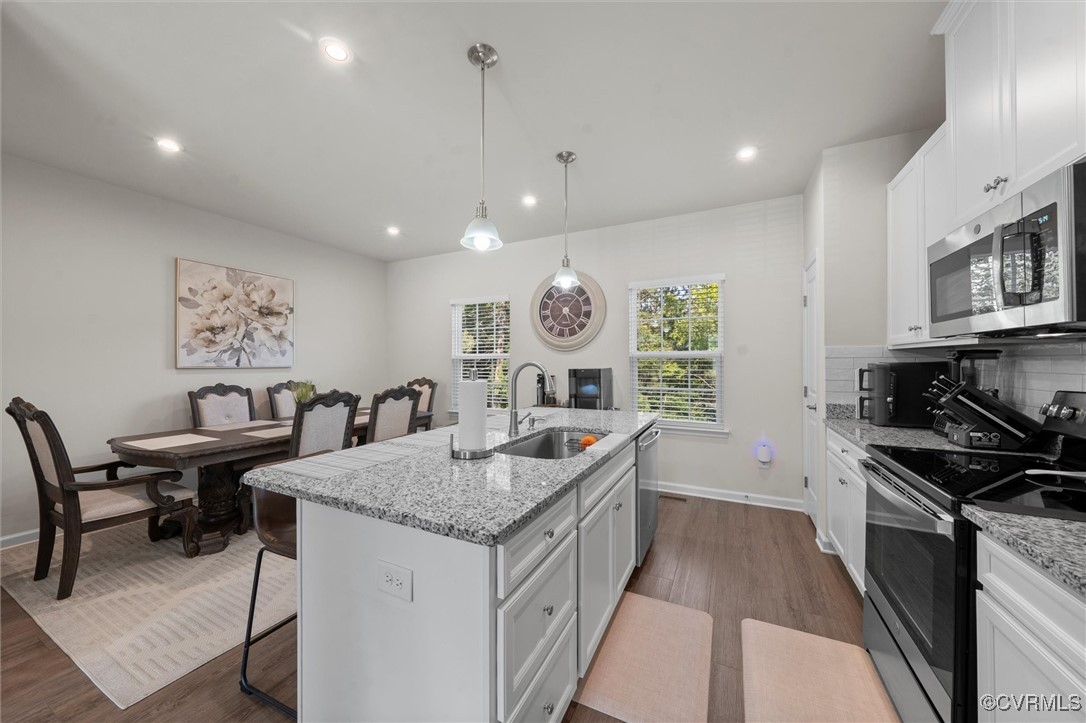 3007 Perdue Springs Dr