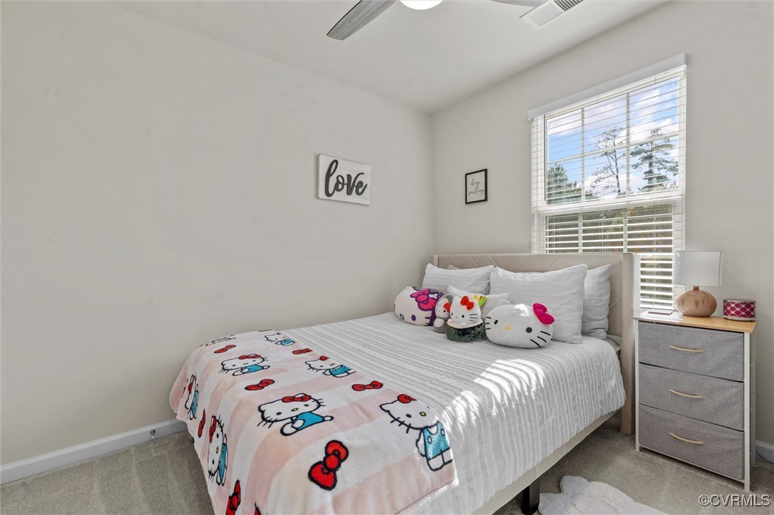 3007 Perdue Springs Dr