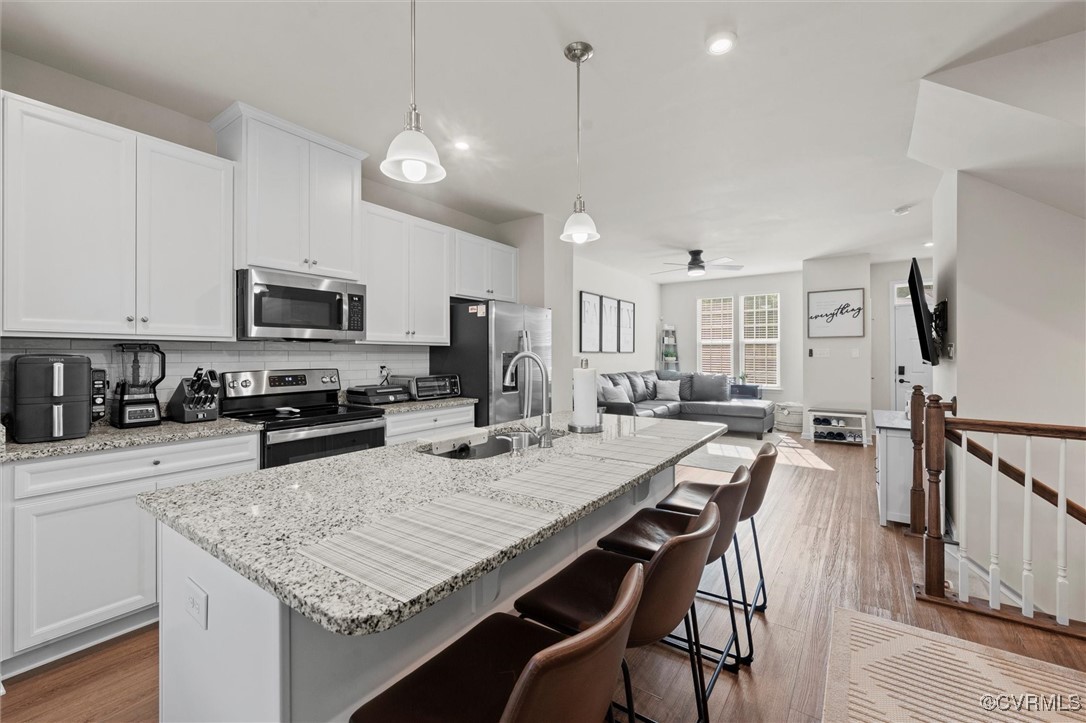 3007 Perdue Springs Dr