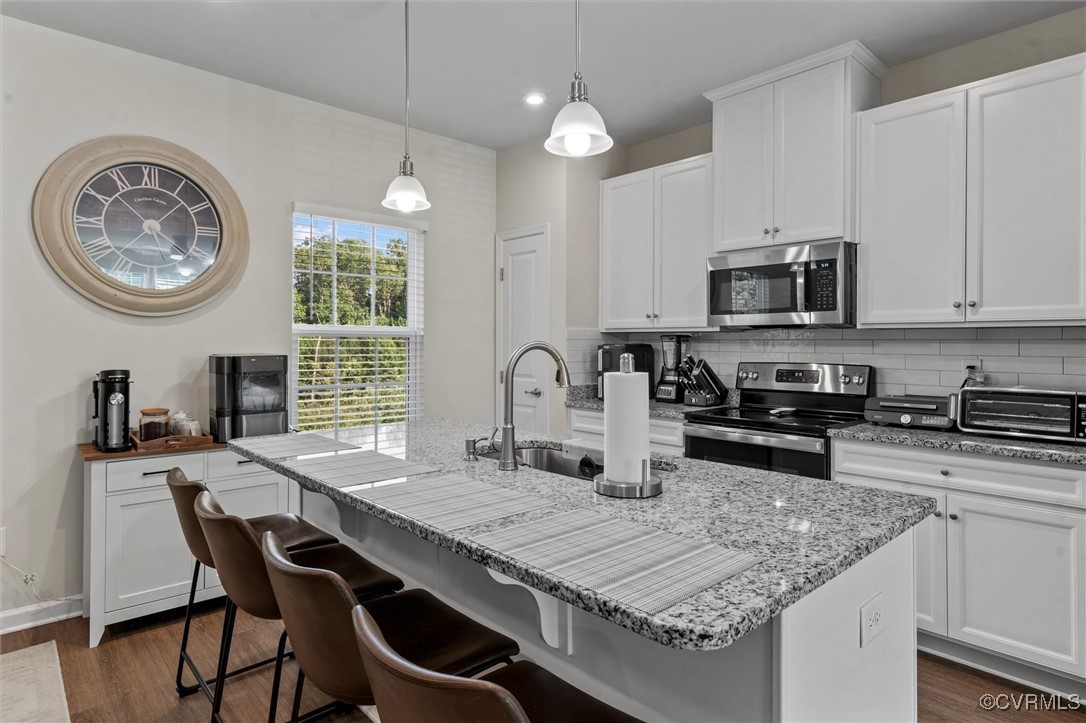 3007 Perdue Springs Dr