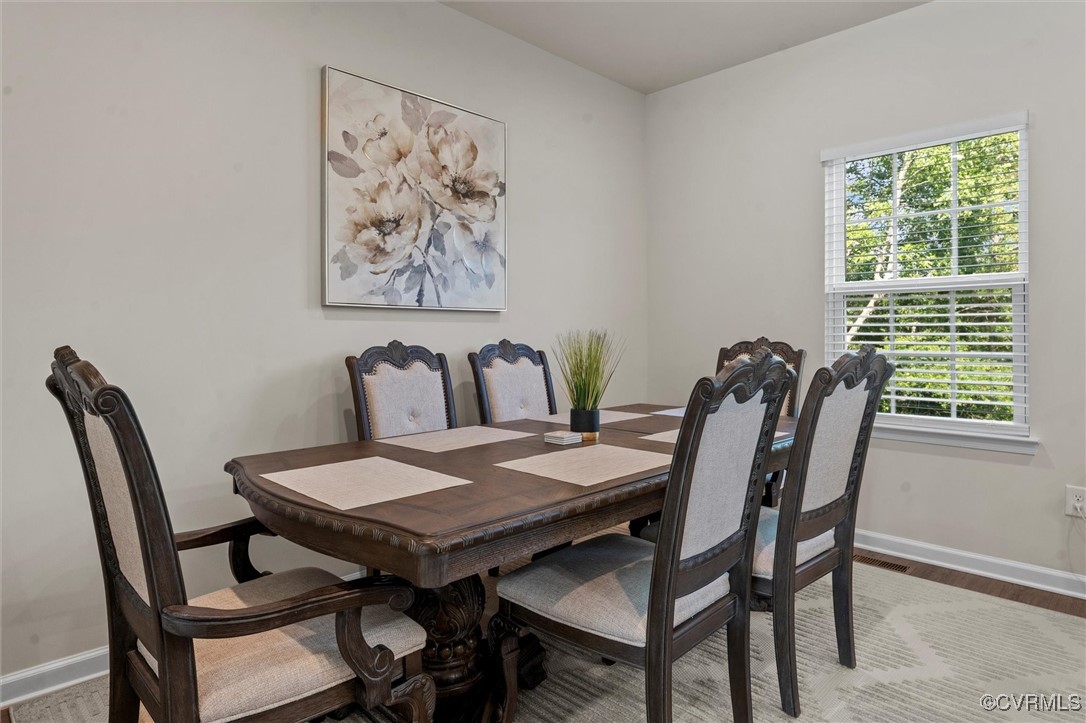 3007 Perdue Springs Dr