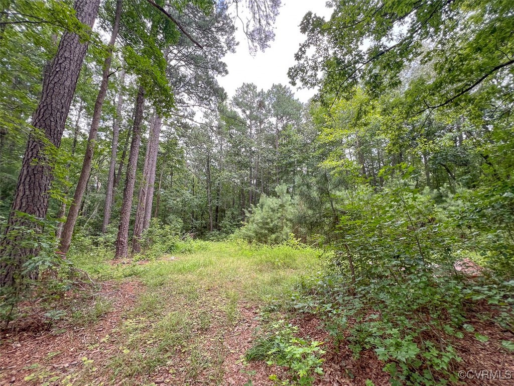 6111 Newbys Bridge Rd