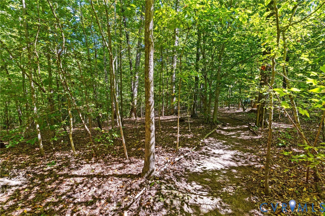 314 Shelton Bend Dr