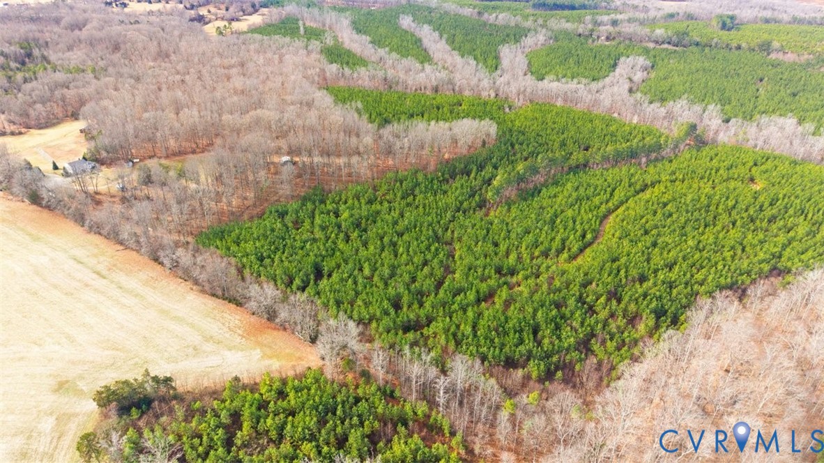 6256 Old Buckingham Rd