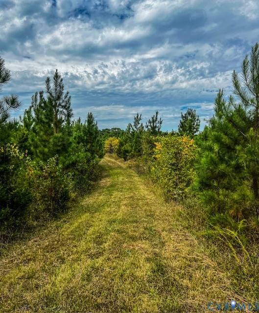 6256 Old Buckingham Rd