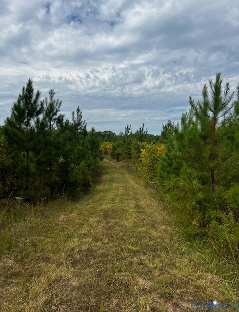 6256 Old Buckingham Rd