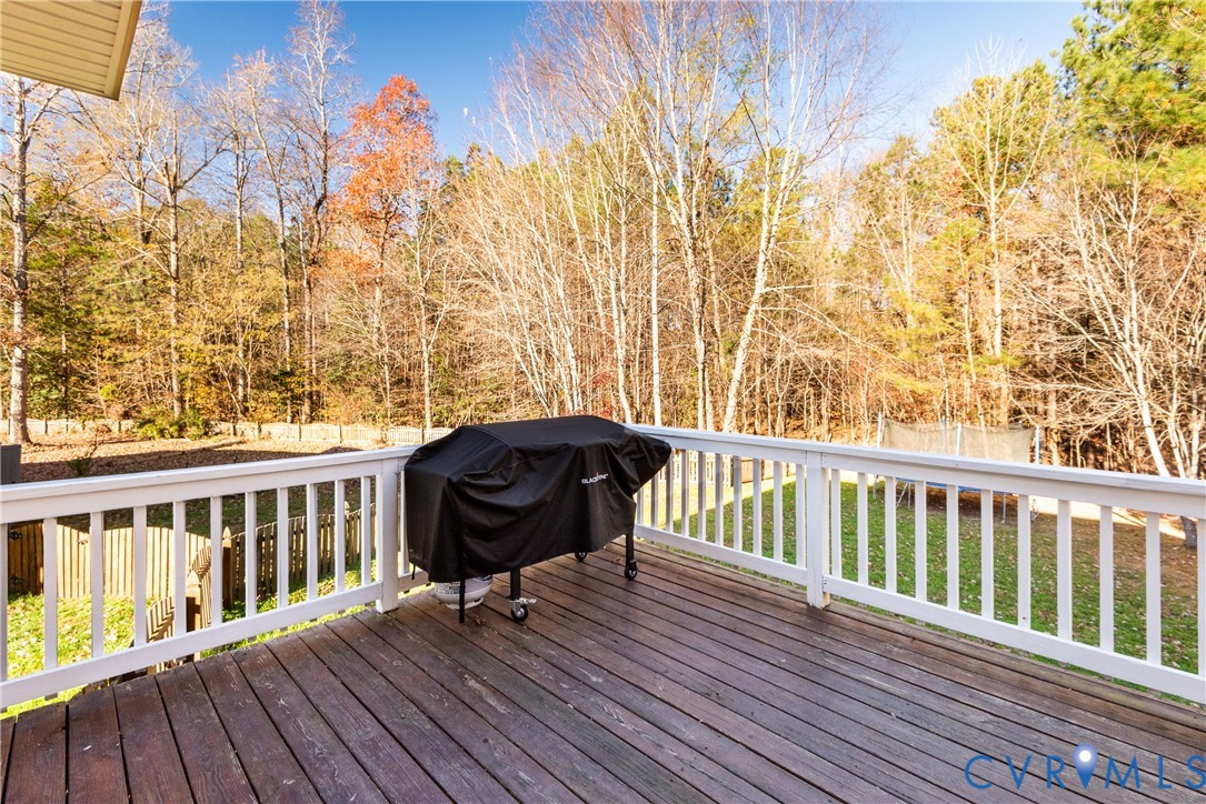 15530 Twisted Cedar Ct