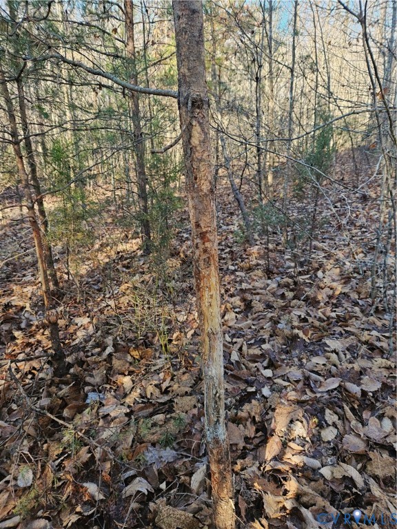 0 Warbonnett Trl