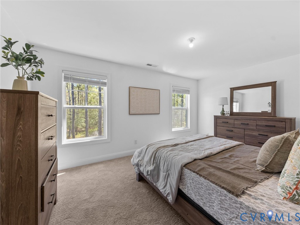 12919 Broad Iron Ct