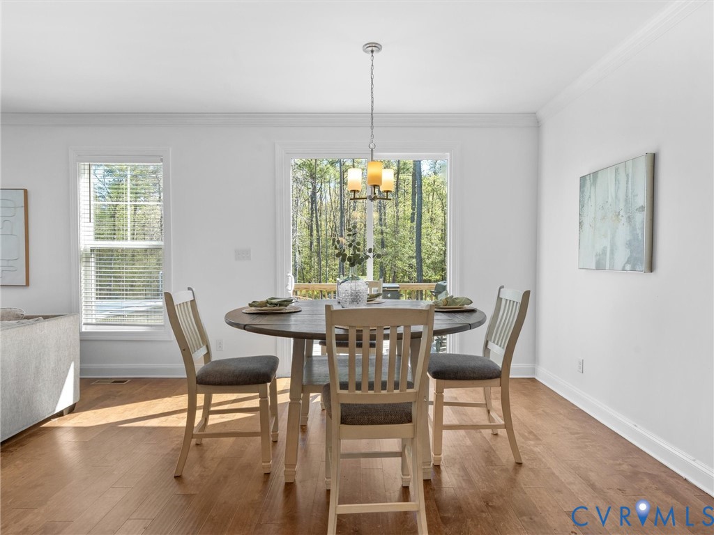 12919 Broad Iron Ct
