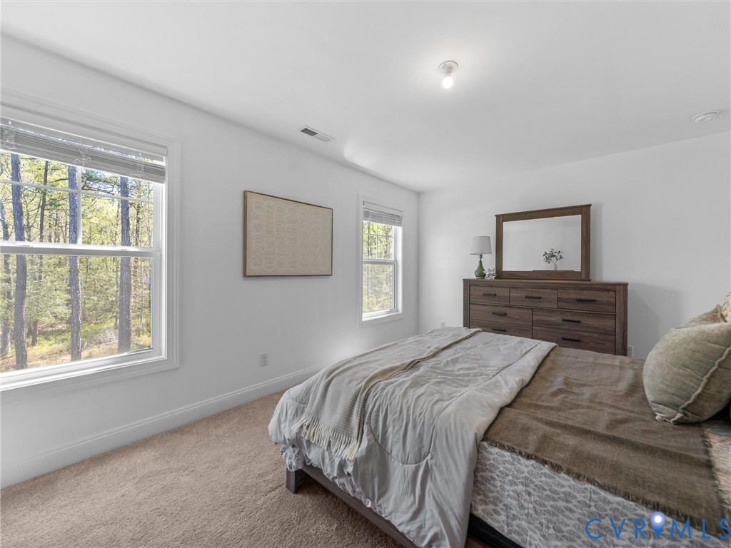 12919 Broad Iron Ct