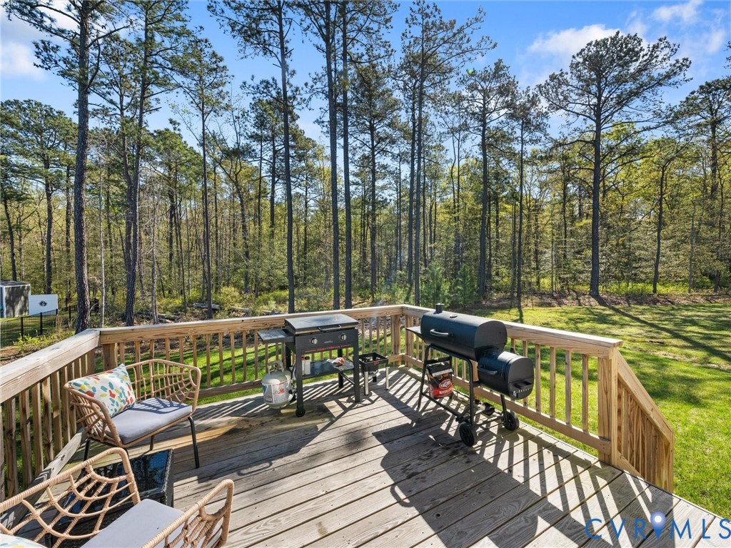 12919 Broad Iron Ct
