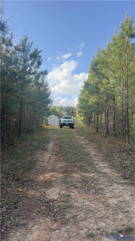 Wooded property with a dirt driveway leading to a truck and small white shed.