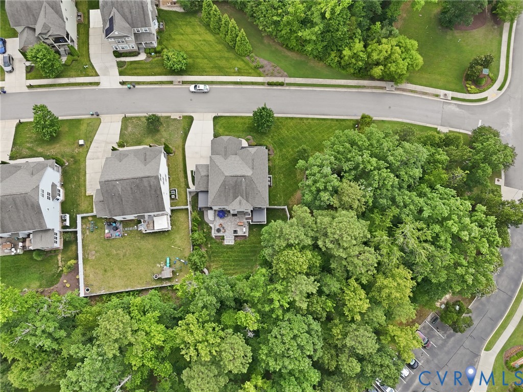 16707 White Daisy Loop