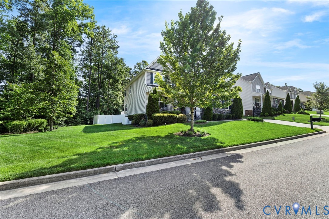16707 White Daisy Loop