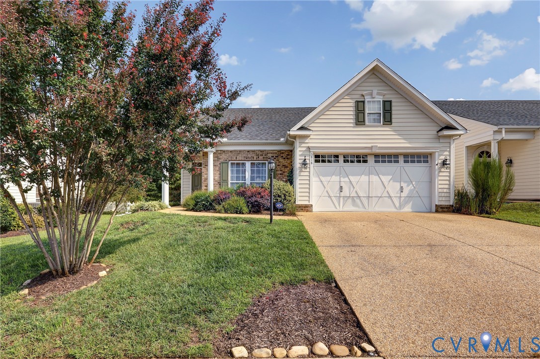 5818 Yellow Jasmine Ter