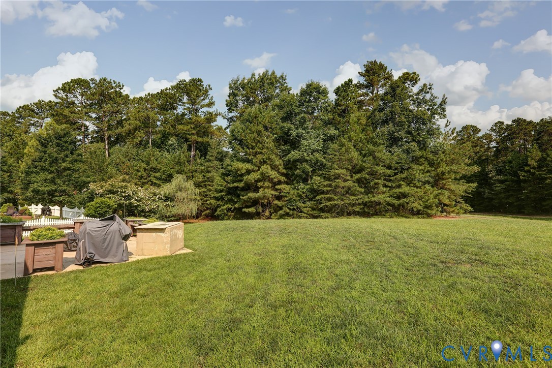 5818 Yellow Jasmine Ter