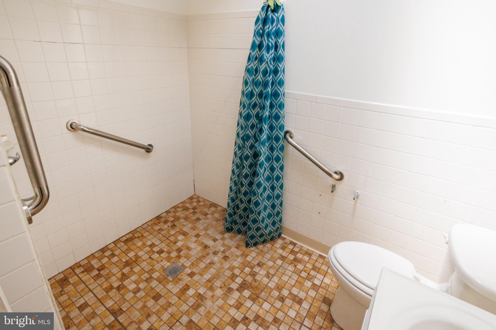 239 E ELEANOR STREET