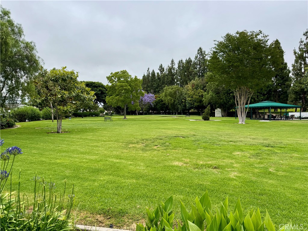 5200 Irvine Blvd 123