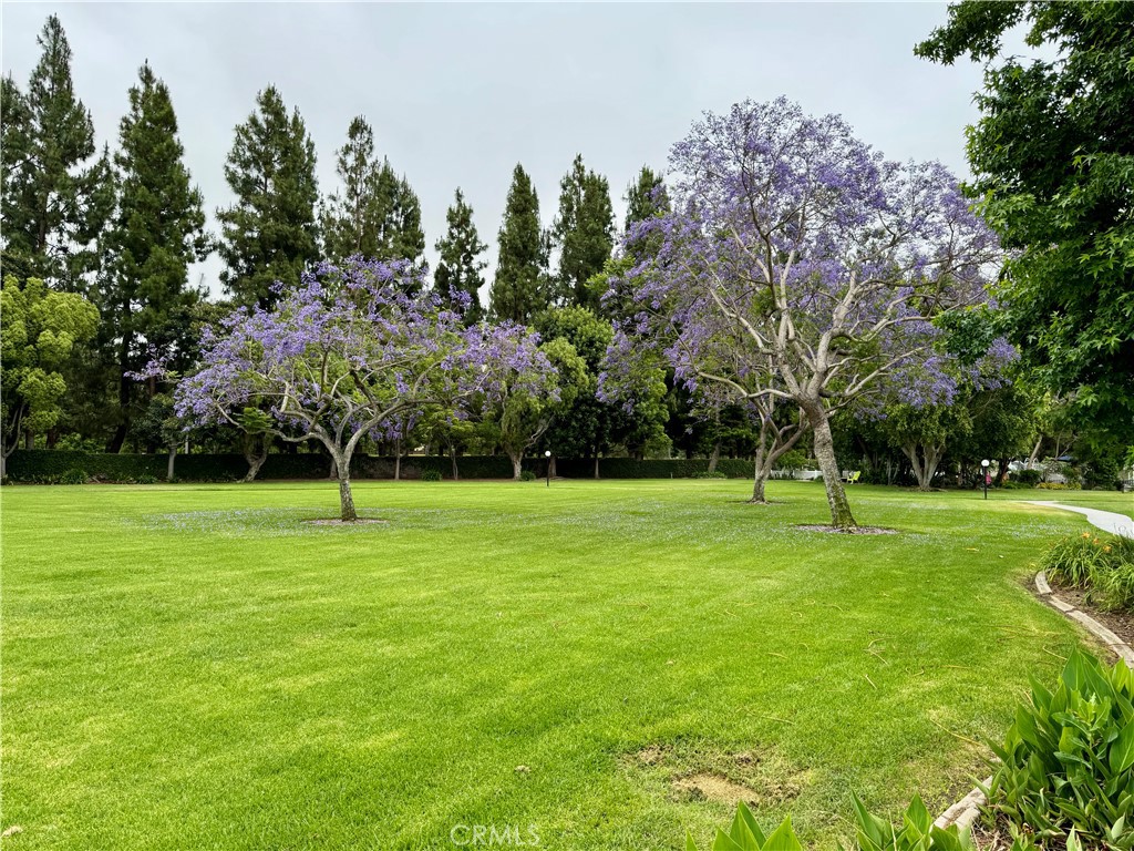 5200 Irvine Blvd 123