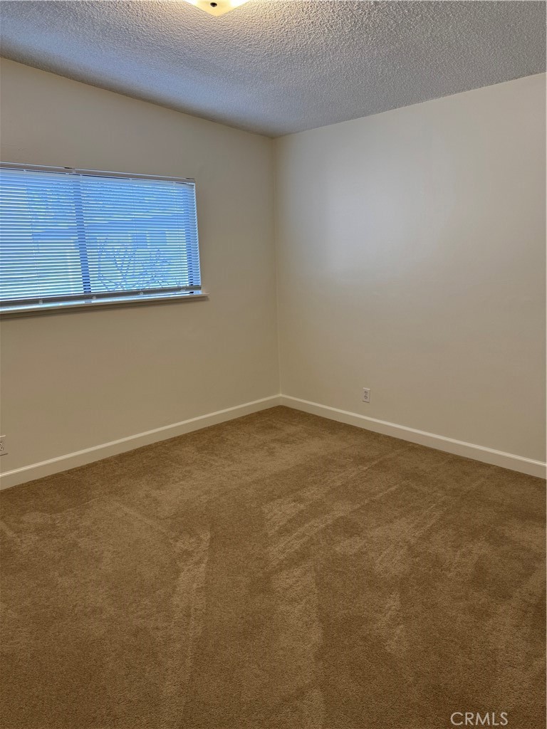 382 Rochester Street