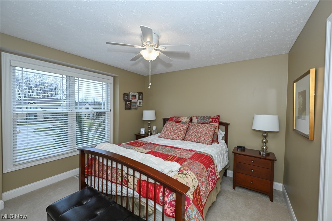 4806 Snow Blossom Lane