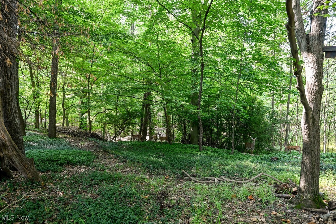 9305 Evergreen Drive