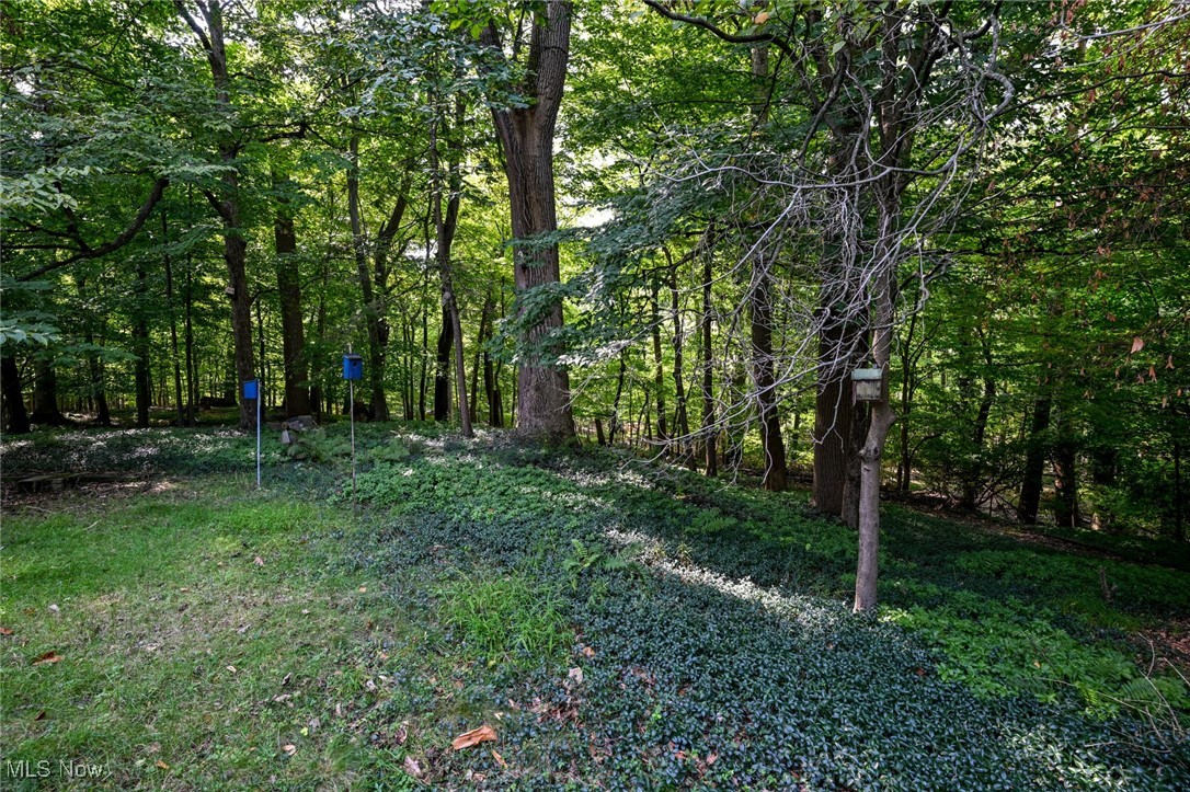 9305 Evergreen Drive