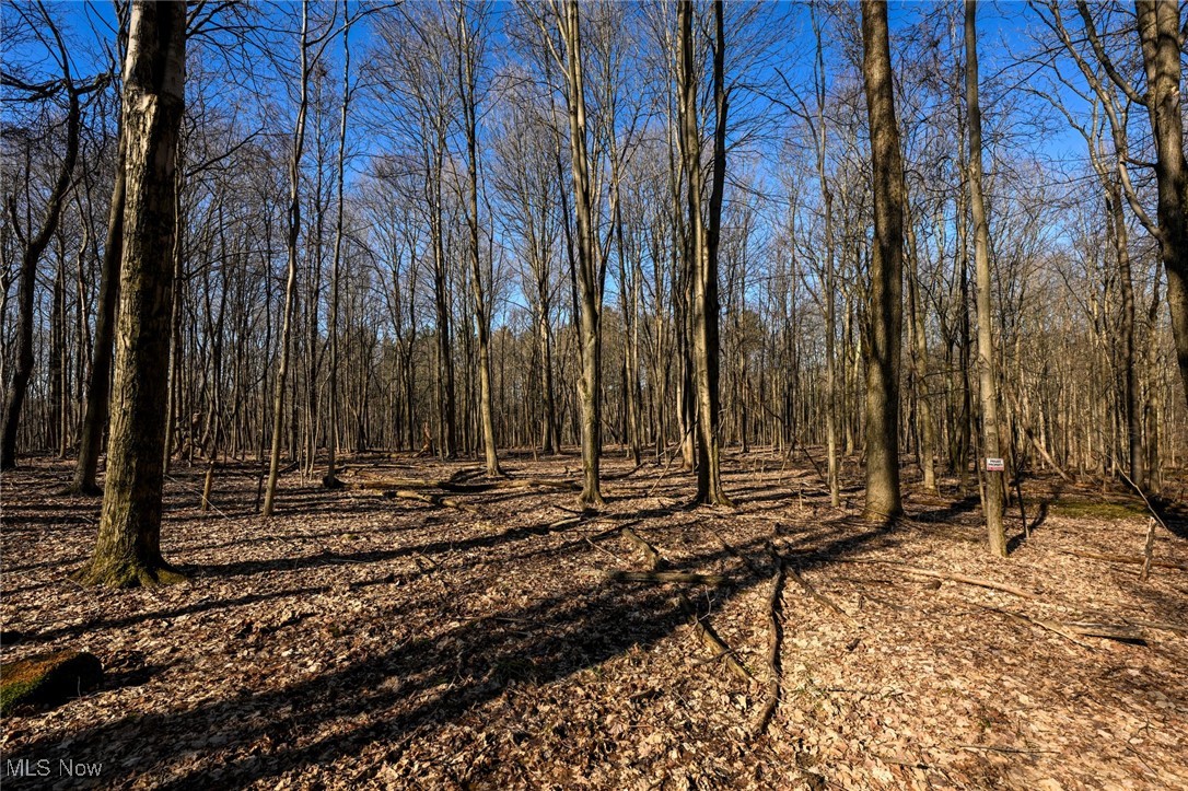 5073 W Streetsboro Road