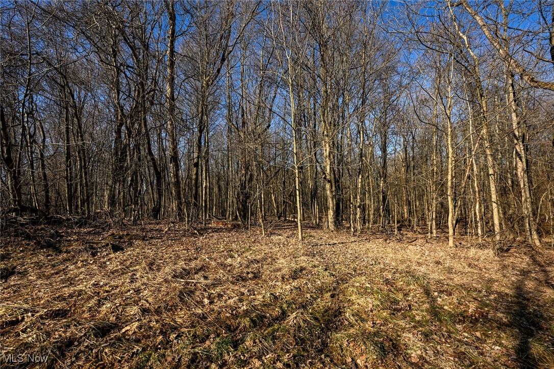 5073 W Streetsboro Road