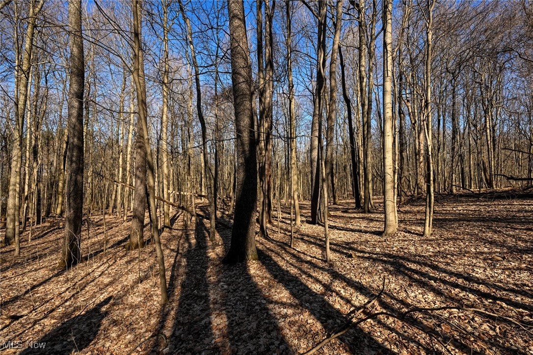 5073 W Streetsboro Road