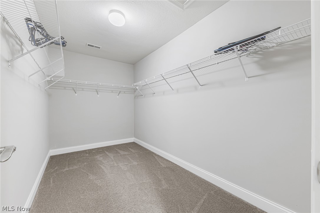 10206 Woodlands Drive