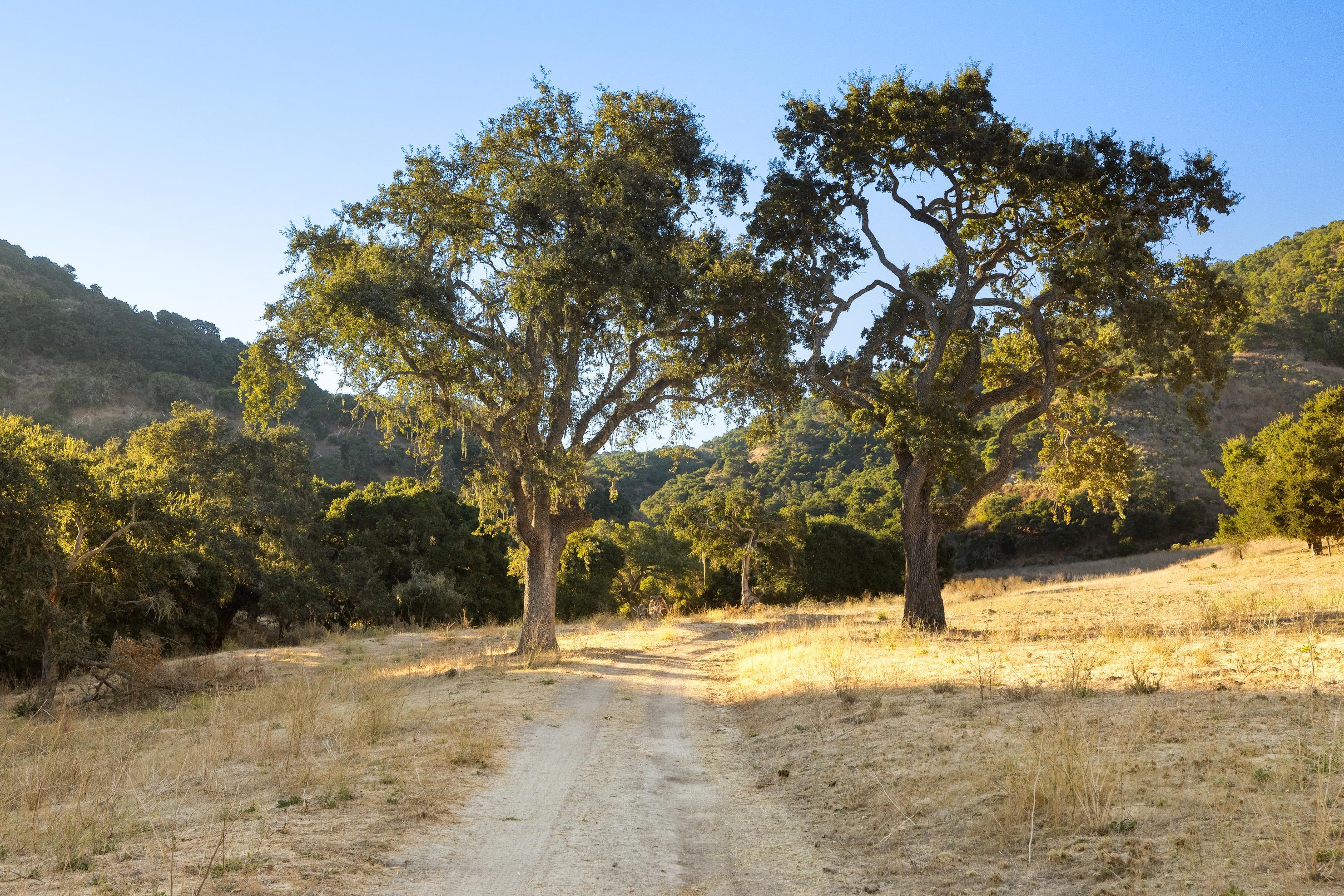 0 Ca Hwy 135