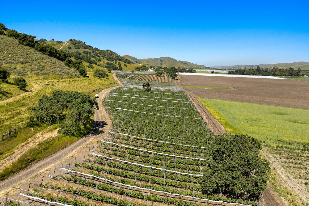 00 Ca Highway 135