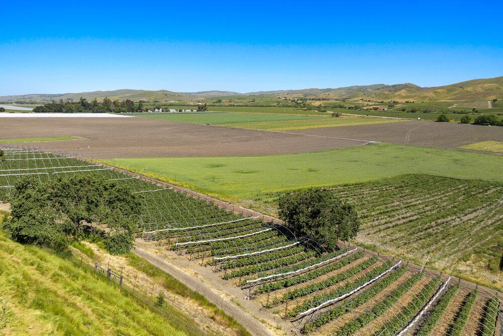 00 Ca Highway 135