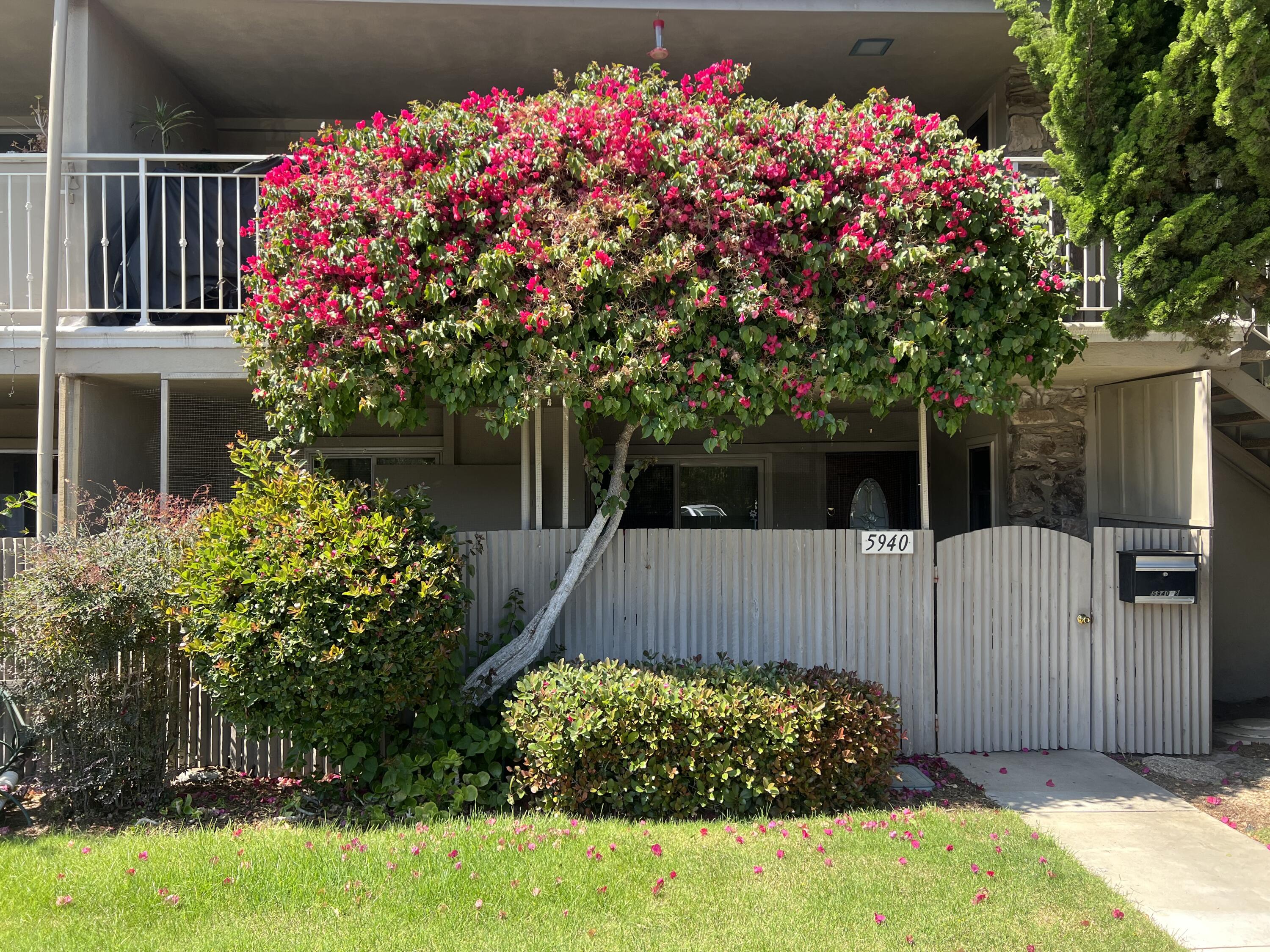 5940 Encina Road, 2