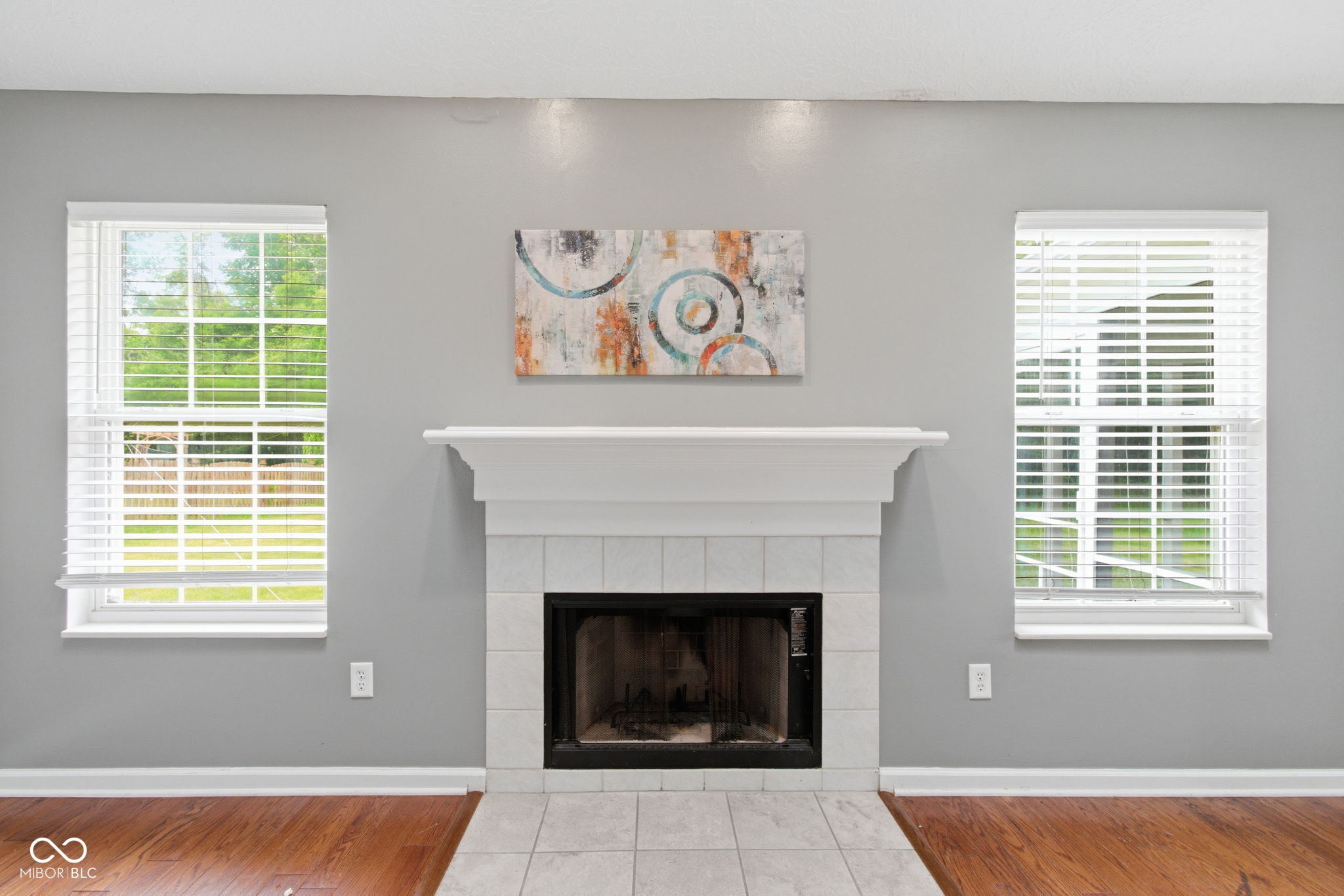 11133 Cowan Lake Court