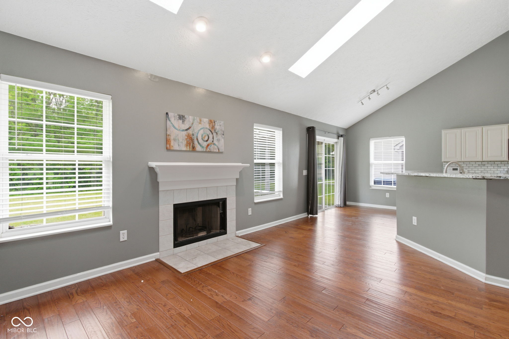 11133 Cowan Lake Court