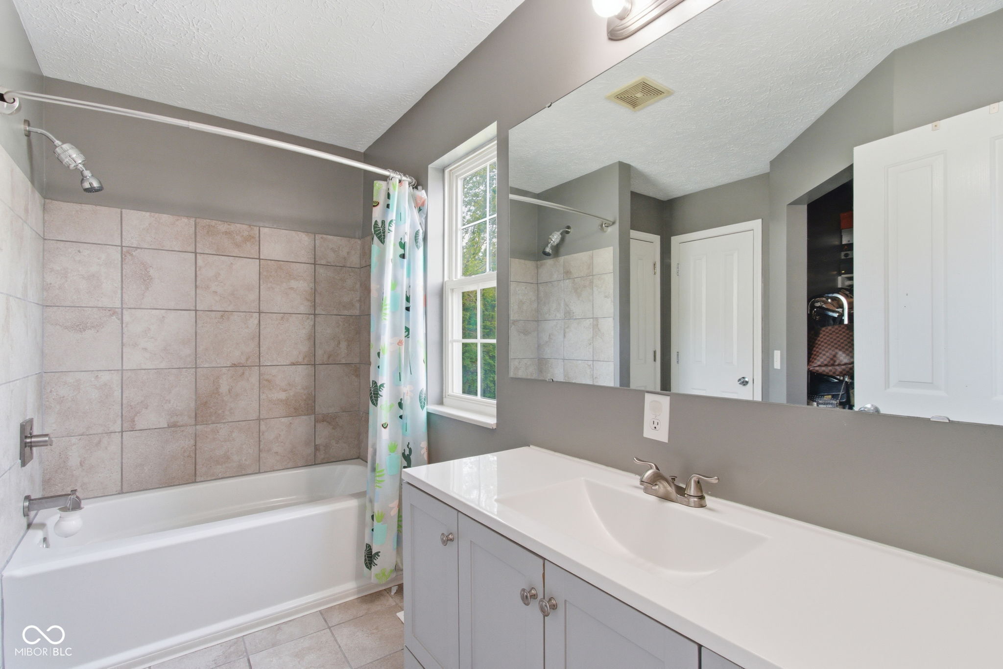 11133 Cowan Lake Court