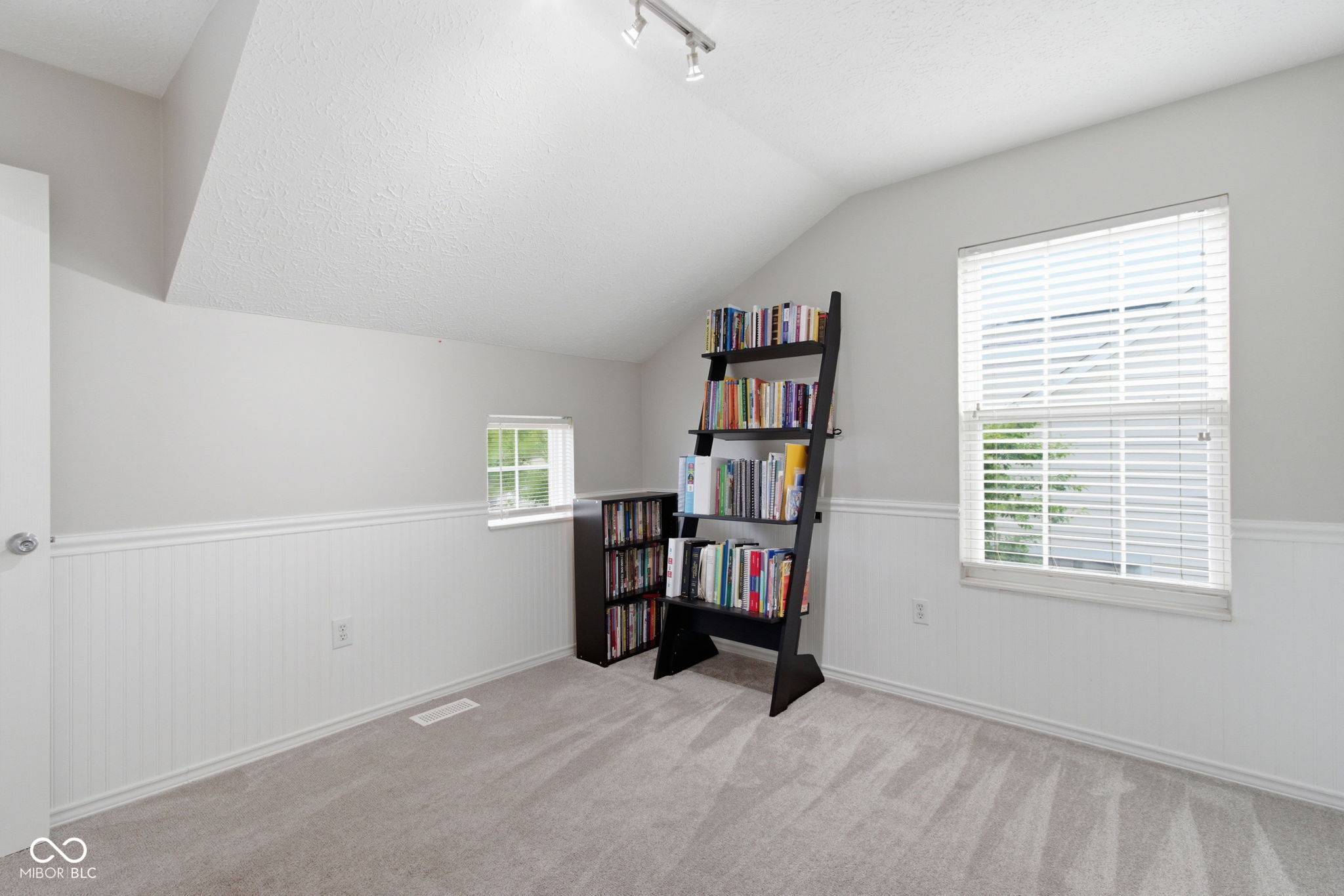 11133 Cowan Lake Court